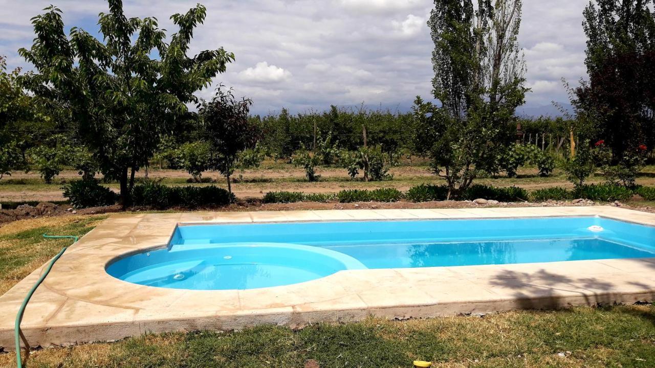 Penzion Casa Rural Entre Bodegas Y Vinedos ' El Jarillal" La Consulta Exteriér fotografie